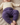 Merino uld bukser Violet