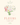 malebog Fleurs